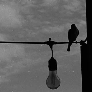 BOY CANDRA’s Instagram Stats, Engagement & Profile Insights (@boycandra)