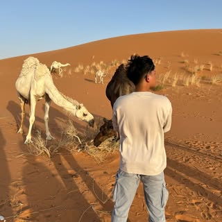 Muhammad Albi’s Instagram Stats, Engagement & Profile Insights (@btr_ryzen)