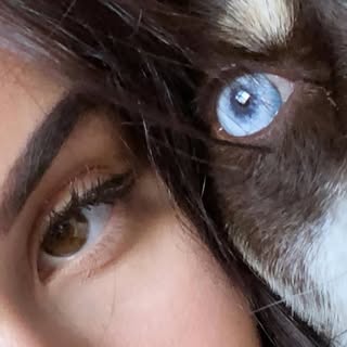 ℭ𝔩𝔞𝔲𝔡𝔦𝔞 𝔗𝔦𝔥𝔞𝔫’s Instagram Stats, Engagement & Profile Insights (@claudiatihan)