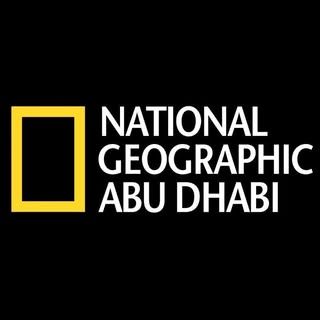 ناشونال جيوغرافيك أبوظبي’s Instagram Stats, Engagement & Profile Insights (@natgeoabudhabi)