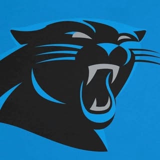 Carolina Panthers’s Instagram Stats, Engagement & Profile Insights (@panthers)