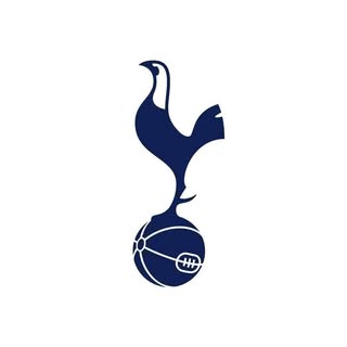 Tottenham Hotspur’s Instagram Stats, Engagement & Profile Insights (@spursofficial)