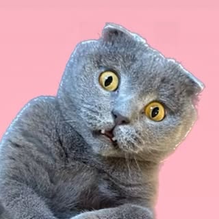 Tommaso Zorzi’s Instagram Stats, Engagement & Profile Insights (@tommasozorzi) 3 Tommaso Zorzi’s Instagram Stats, Engagement & Profile Insights (@tommasozorzi)