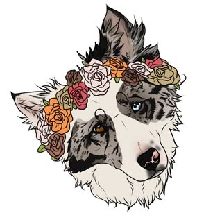 Keira & Victoria’s Instagram Stats, Engagement & Profile Insights (@theadventuresofkeira)