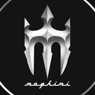 Moghimi’s Instagram Stats, Engagement & Profile Insights (@___moghimi___)