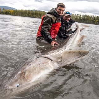 Chris Bulaw’s Instagram Stats, Engagement & Profile Insights (@bulawc)