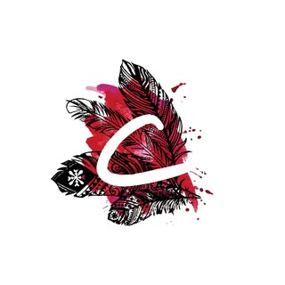 Charlotte Look’s Instagram Stats, Engagement & Profile Insights (@charlottelookbr)