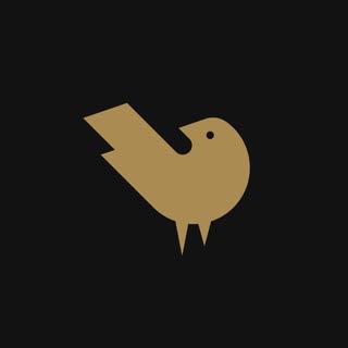 GOLDAMMER’s Instagram Stats, Engagement & Profile Insights (@goldammer.me)
