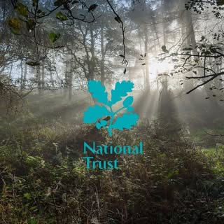 Peak District, National Trust’s Instagram Stats, Engagement & Profile Insights (@peakdistrictnt)