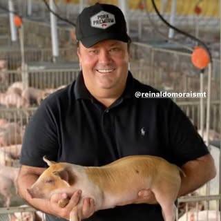 Reinaldo Morais’s Instagram Stats, Engagement & Profile Insights (@reinaldomoraismt)