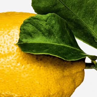 The Gourmand’s Instagram Stats, Engagement & Profile Insights (@thegourmand)