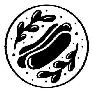 Boring Friends’s Instagram Stats, Engagement & Profile Insights (@boringfriends)