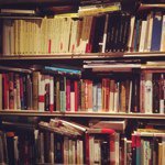 Javier Aznar’s Instagram Stats, Engagement & Profile Insights (@guardiancenteno) 9 Javier Aznar’s Instagram Stats, Engagement & Profile Insights (@guardiancenteno)