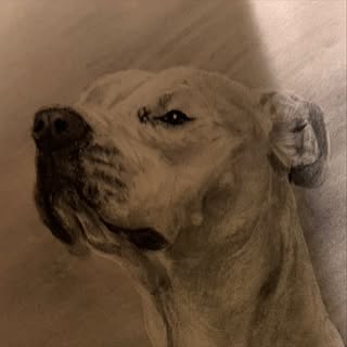 Kyle Hartzell’s Instagram Stats, Engagement & Profile Insights (@khartzell81)