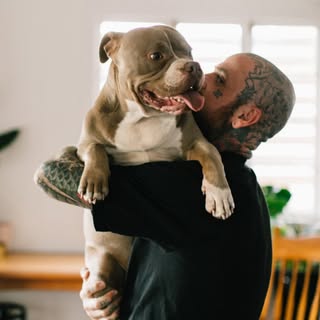 Mitch Love’s Instagram Stats, Engagement & Profile Insights (@mitchlovetattoo)