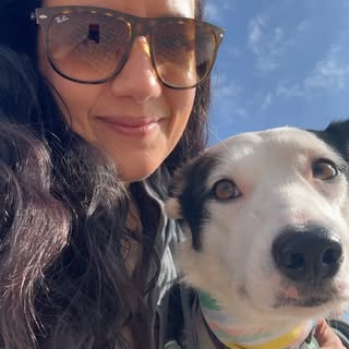 Gia Savocchi | Dog Behavior Specialist’s Instagram Stats, Engagement & Profile Insights (@thinkingcanine)